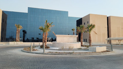 Al Yamamah University - Dammam - +966 11 224 2222