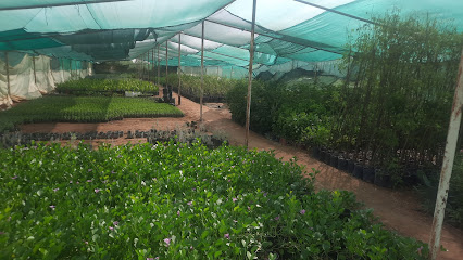 Ibrahim Almajli Nursery - Ad Dilam - +966 50 212 5259