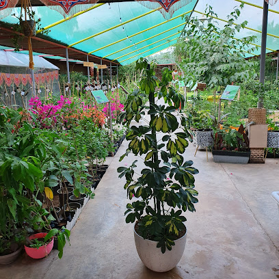 مشتل الفصول الأربعة - Buraydah - +966 50 715 1100