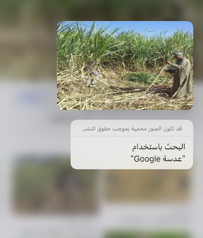 مزرعة واستراحة سلطان معشي - Ummal Noor Village -