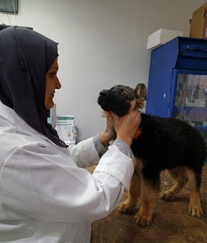 عيادة الرعاية المتطورة البيطرية.(للحيوانات الأليفة) - Buraydah - +966 58 156 7040