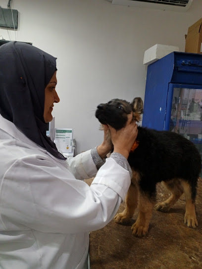 عيادة الرعاية المتطورة البيطرية.(للحيوانات الأليفة) - Buraydah 52383