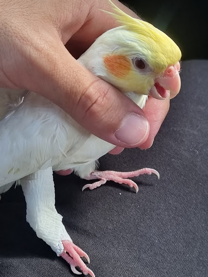 SVC Pet Clinic - Jeddah 23452