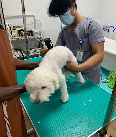 Advanced Pet Clinic - Al Fodhool - +966 13 599 0358