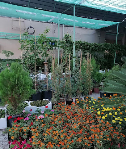 مشتل واحه الخضراء - Taif -