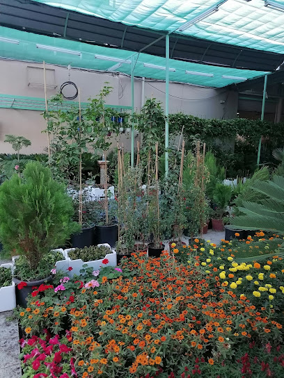 مشتل واحه الخضراء - Saudi Arabia|Taif 26511|Al Salamah|سلامه بجوار دفاع مدني