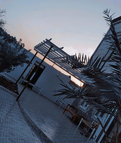 الشيخ الخضر الرباحي - Samtah -