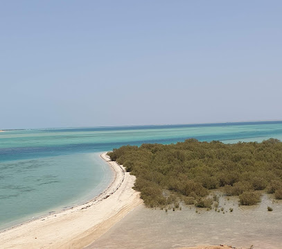 Farasan Island Marine Sanctuary - Sair - +966 11 441 8700