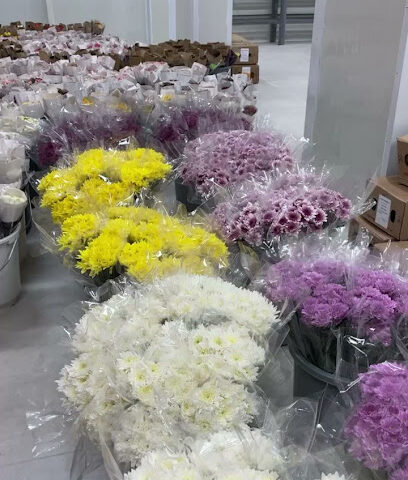 ذكريات جميلة قسم جملة الورد الطبيعي - Riyadh - +966 56 642 6598