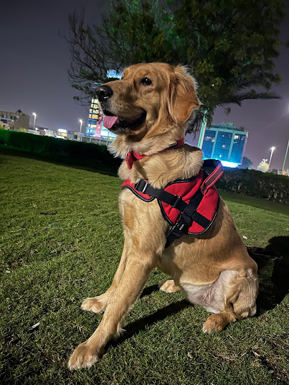 MyPet Clinic(عيادتي البيطرية) - Saudi Arabia|Jeddah 23436|Street|Sari Br Rd