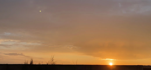 Aljouhariyah private farm - Sakaka -