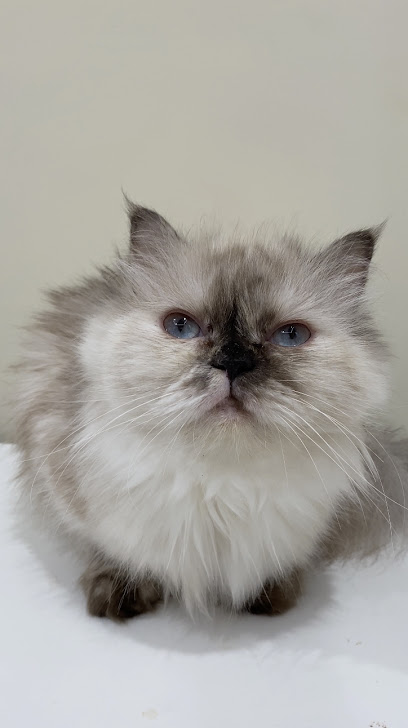 Khozaim Veterinary Clinic - Al Bukayriyah 52725