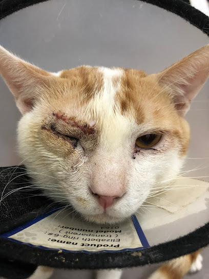 Advanced Pet Clinic - Riyadh 11492