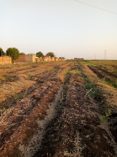 الرويشان النقل الجماعي اليمني الدولي خميس مشيط - Saudi Arabia|Khamis Mushait|آل قصال، العرق الجنوبي،|8P2J+R8Q