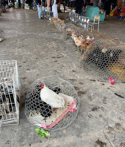 سوق الخضار والفاكهة يوم الجمعة - Al Badayea -