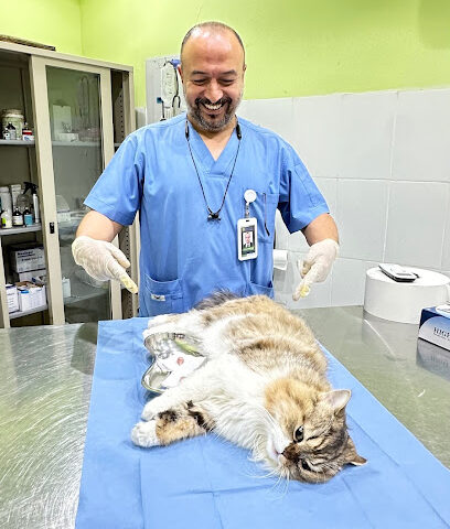 عيادة العلاج السريع البيطرية - Jeddah - +966 50 793 3700