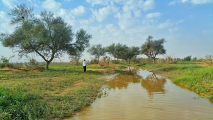 مزرعه احمد ابوعامر. (دوسر ) - Riyadh Al Khabra - +966 50 514 1488