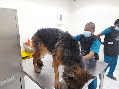 عيادة عالم الحيوان البيطرية - Diriyah - +966 55 120 5209