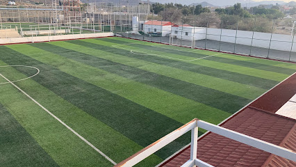 أكاديمية فالكون | FALCON ACADEMY - Taif - +966 58 075 1311