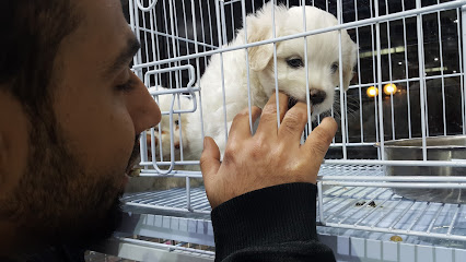 Pet's Life - Riyadh - +966 54 499 2285