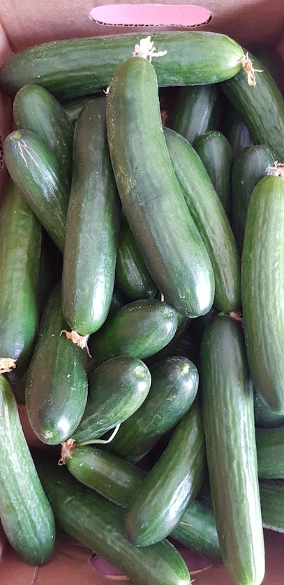 ركن الفراولة - Saudi Arabia|Jazan 45952|طريق عثمان بن عفان الوحلة