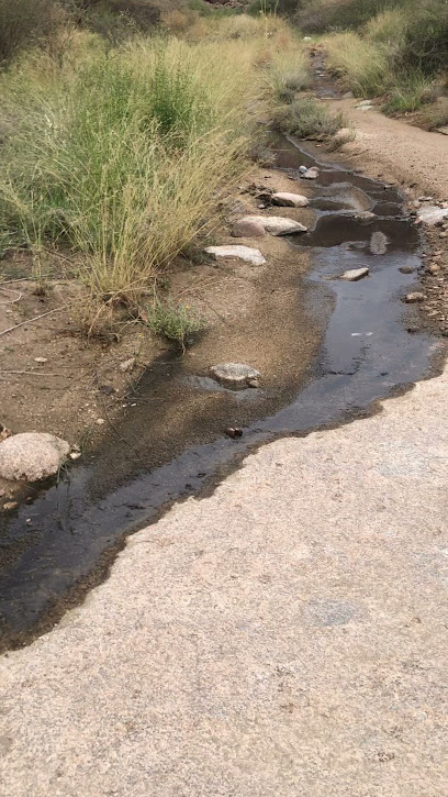 ثار - Saudi Arabia|Najran 66261|Alkhalidiyyah|G7X3+MFH