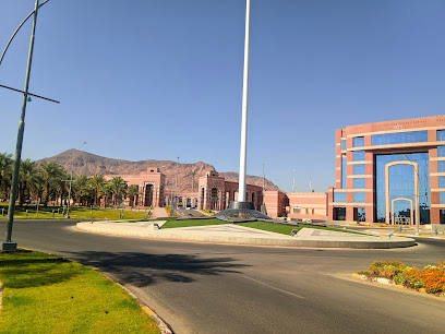 Taibah University - Al Madinah Al Munawwarah - +966 14 861 8888
