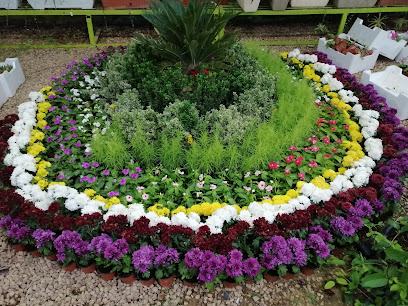 Nursery orchards - Sakaka - +966 55 110 5454