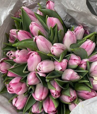 شركة روز الاحلام للزهور الطبيعيه - Sakaka - +966 50 972 5680