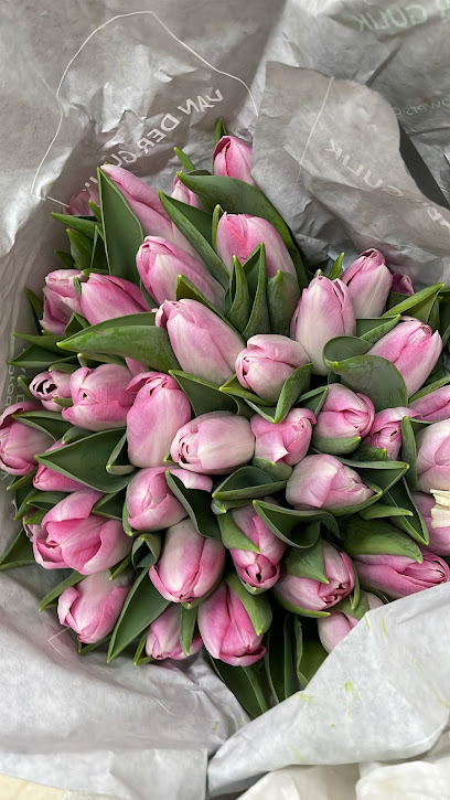 شركة روز الاحلام للزهور الطبيعيه - Saudi Arabia|Sakaka 72342|طريق الامير فهد بن بدر بن عبدالعزيز