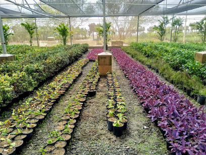 Airport Nursery - Jeddah -