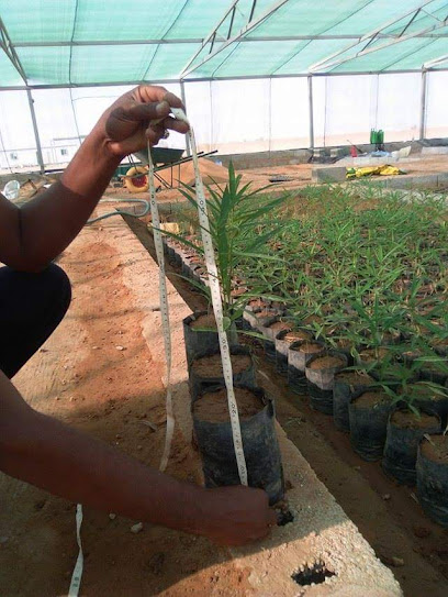 مزرعة المدار الواسع لانتاج الشتول واشجار الزينه - Saudi Arabia|Riyadh 15389|Door No.3