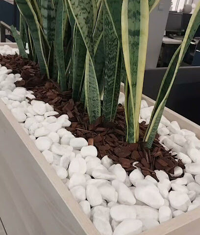 Almosafer - Riyadh - +966 9200 00997