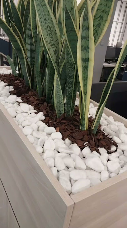 Almosafer - Saudi Arabia|Riyadh|2659 الطريق الدائري الشمالي الفرعي، المصيف الرياض 12468 12467 8045