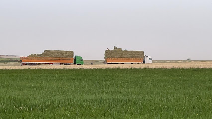 موسسة ركن انجاز للاعلاف - Ash Shihyah - +966 50 005 3533