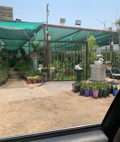 حدائق الريان - Saihat - +966 13 855 9571