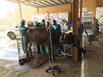 Unit Buraidah Veterinary - Buraydah - +966 53 005 3394