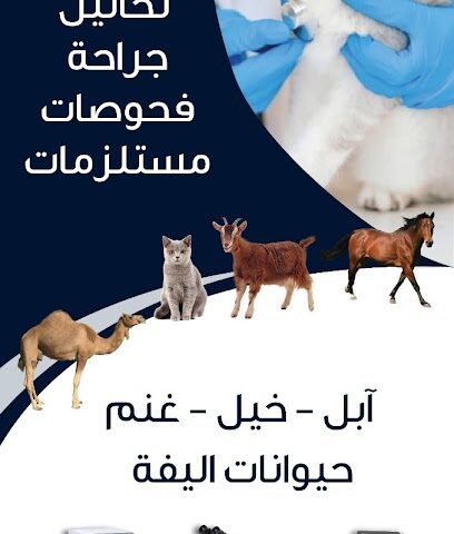 عيادة صيدلية واحة الجزيرة البيطرية - Rabigh - +966 55 646 9094