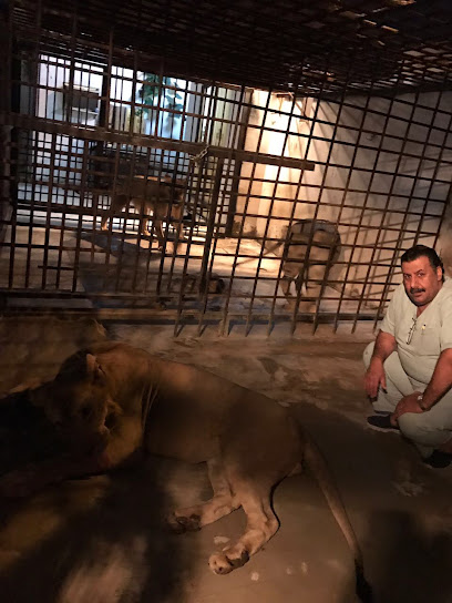 Tahliah International Veterinary Clinic عيادة التحلية البيطرية العالمية - Saudi Arabia|Jeddah 23432|حي الروضة|6422 Nahdat At Talim