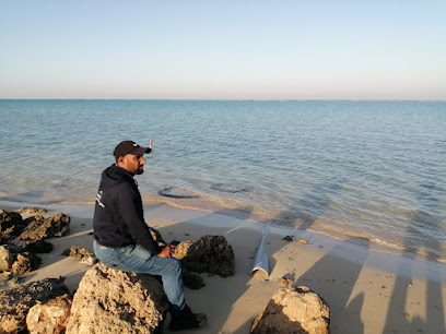 ملعب كرة الطائرة - King Abdullah Economic City -