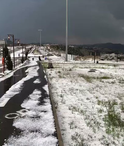 الجنوب - Al Bahah -