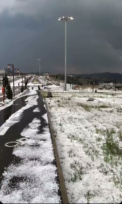 الجنوب - Saudi Arabia|Al Bahah 65525|Albaher|2FCC+MGR