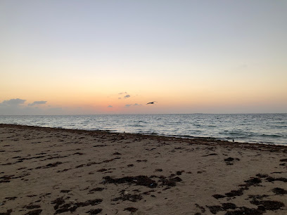 مركز البحث والانقاذ - جازان -