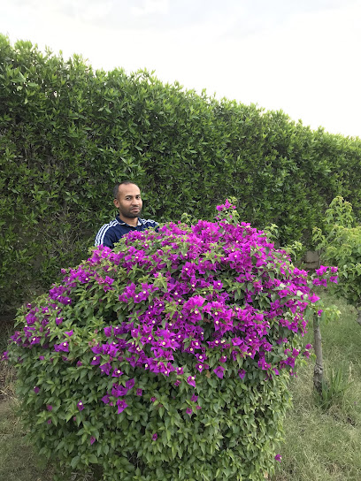 Mohammad Mosharaf - Saudi Arabia|Khamis Mushait 62461|2806