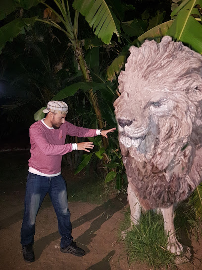 tour & travels - Saudi Arabia|Afif 17571|Almalaz|VWV5+XM6