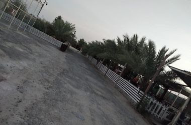 مزرعة علي ناصر خلوي - Farasan Island -