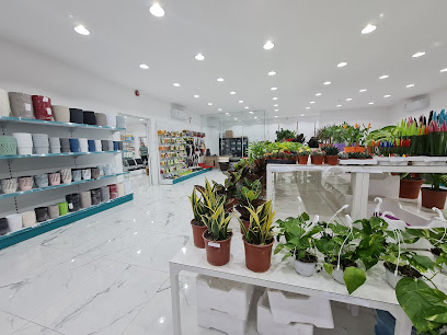 ALI AHMED AL SAWAD - Dammam -