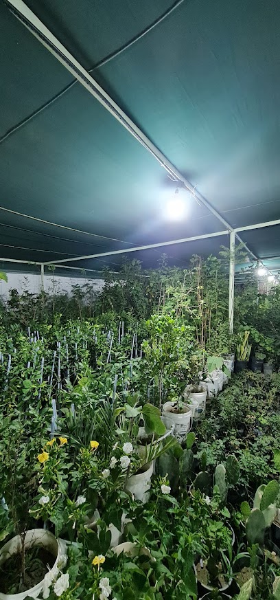 مشتل فايز عيضة - Saudi Arabia|Taif 26547|Unnamed Road