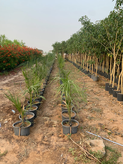 مشتل غراس نجران - Saudi Arabia|66277|Aljurbah|F4HQ+27