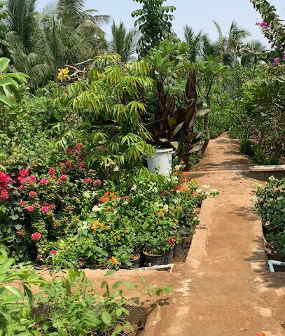 مركز الحدائق ( مشتل ) - Jeddah -